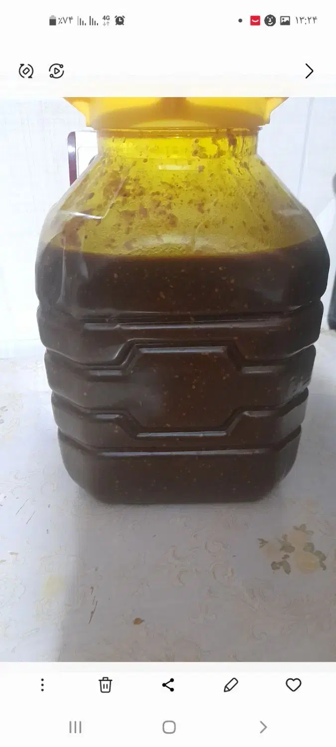 رب انار ملس ،شیره انگور عالی ،ترشی بادمجون|خوردنی و آشامیدنی|دهلران, |دیوار