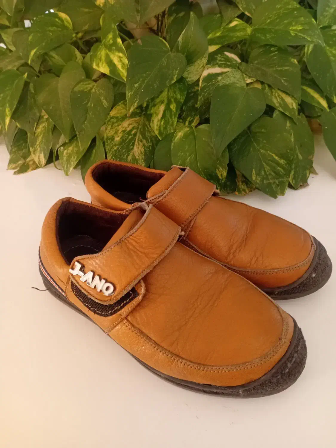 کفش پسرانه|کفش و لباس بچه|صدرا-فارس, فاز ۱|دیوار