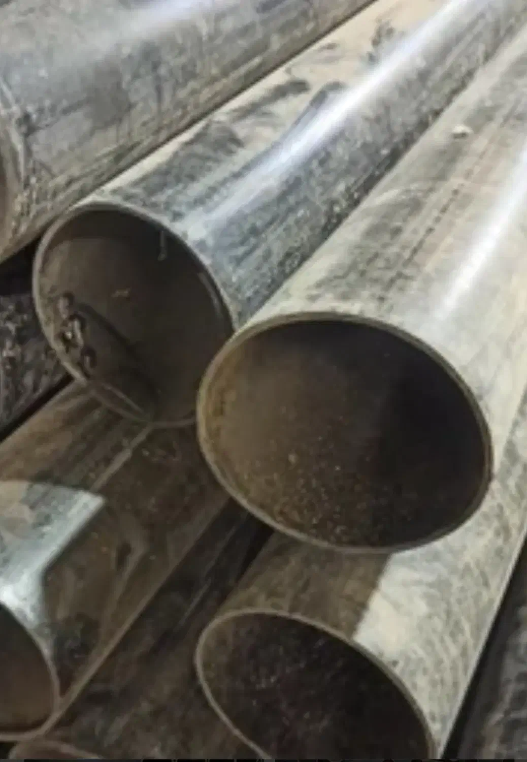 لوله 160|خدمات باغبانی و درختکاری|فریمان, |دیوار