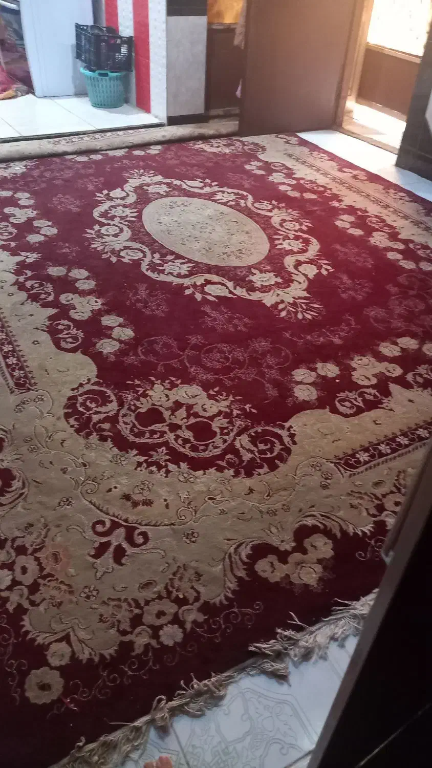 فرش ۱۲ متری|فرش|خرمشهر, |دیوار