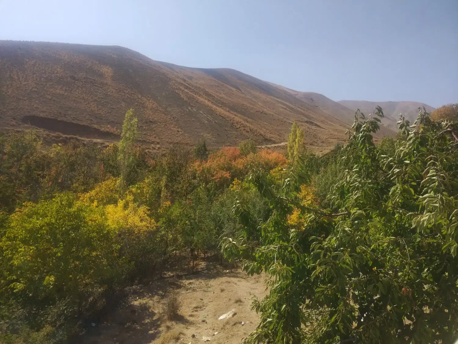 1700 باغچه جاده چالوس|فروش زمین و ملک کلنگی|آسارا, |دیوار