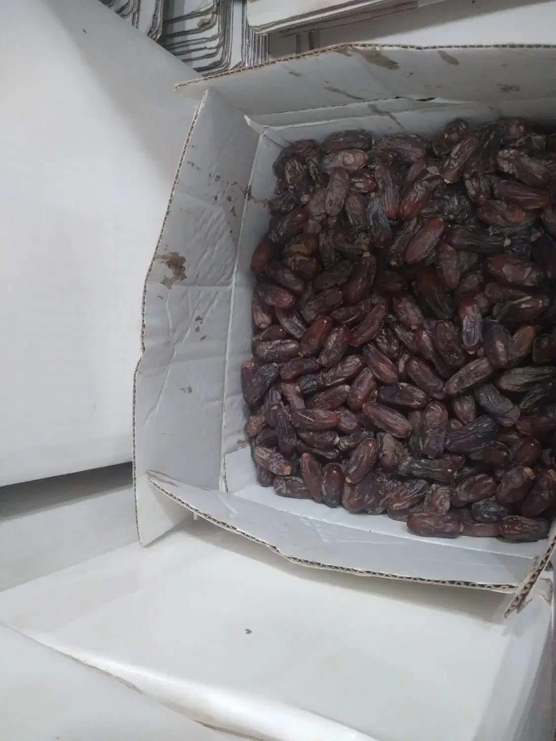 خرما ربی ارگانیک|خوردنی و آشامیدنی|بمپور, |دیوار