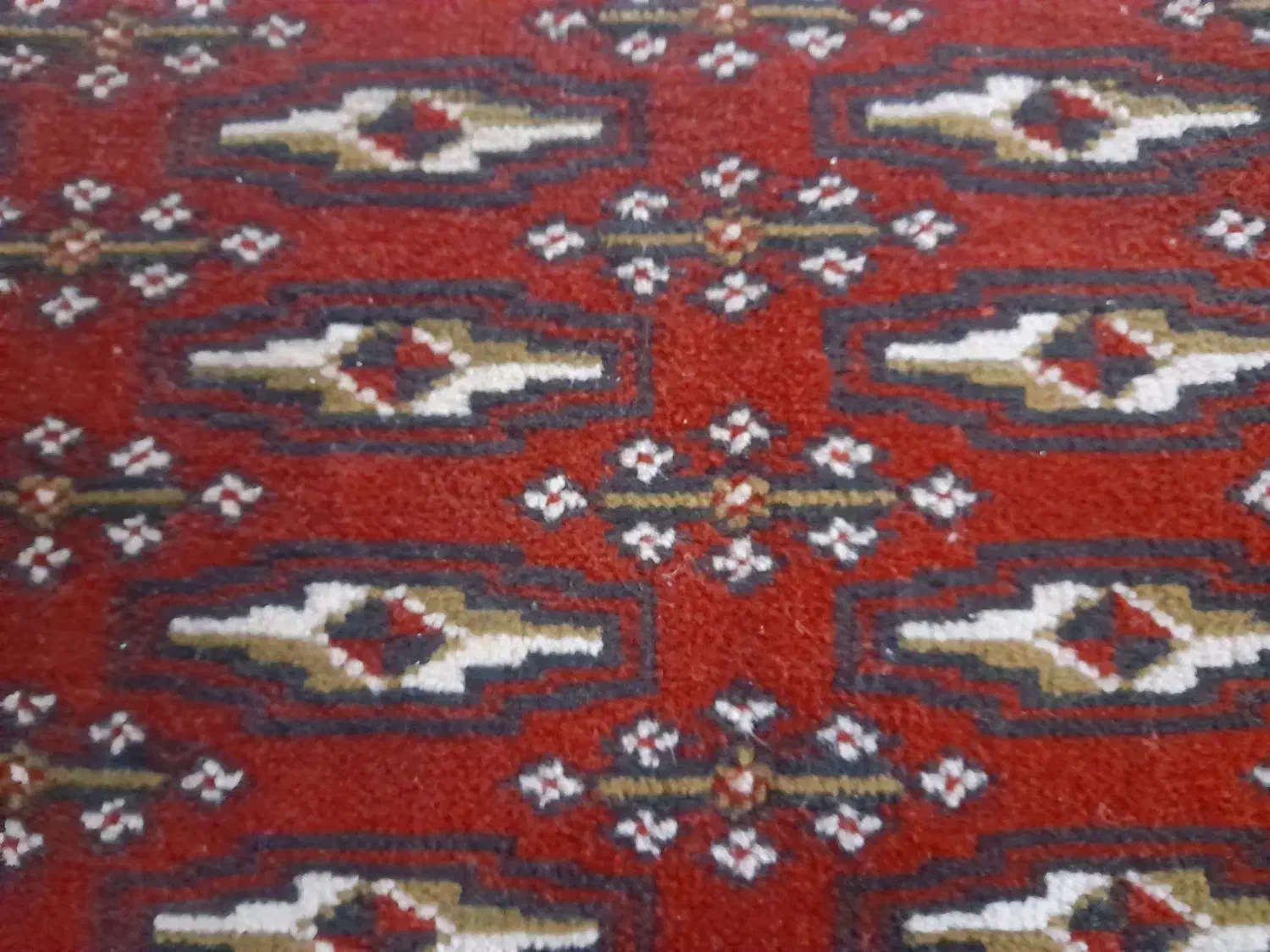 همخونه|اجارهٔ آپارتمان|بیرجند, |دیوار