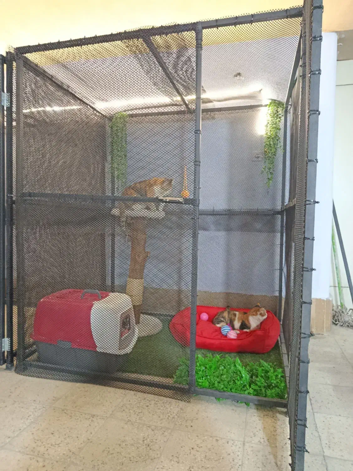 قفس|لوازم جانبی حیوانات|شیراز, زیباشهر|دیوار