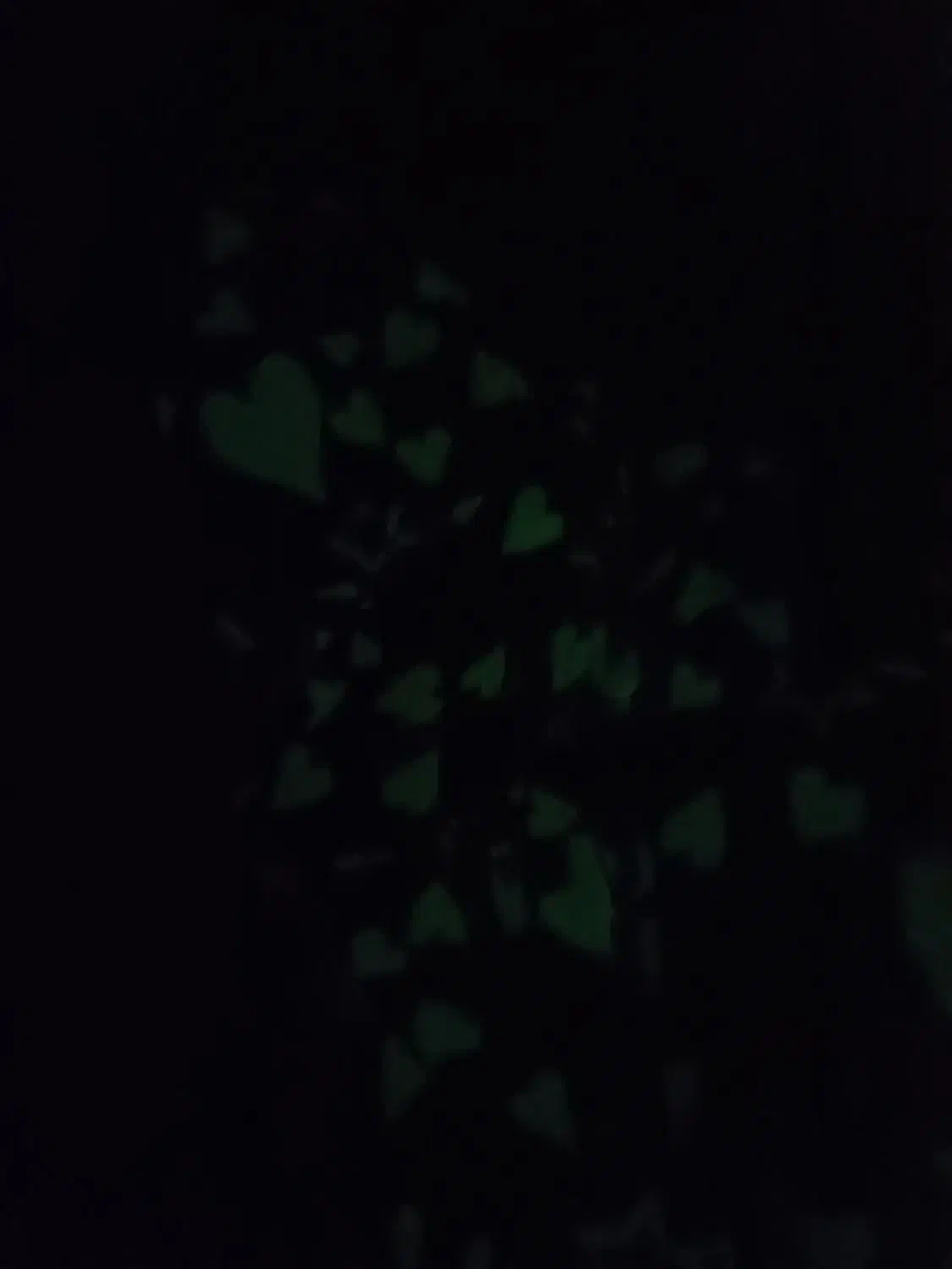 پتوشب نما|رختخواب، بالش، پتو|کوهدشت, |دیوار