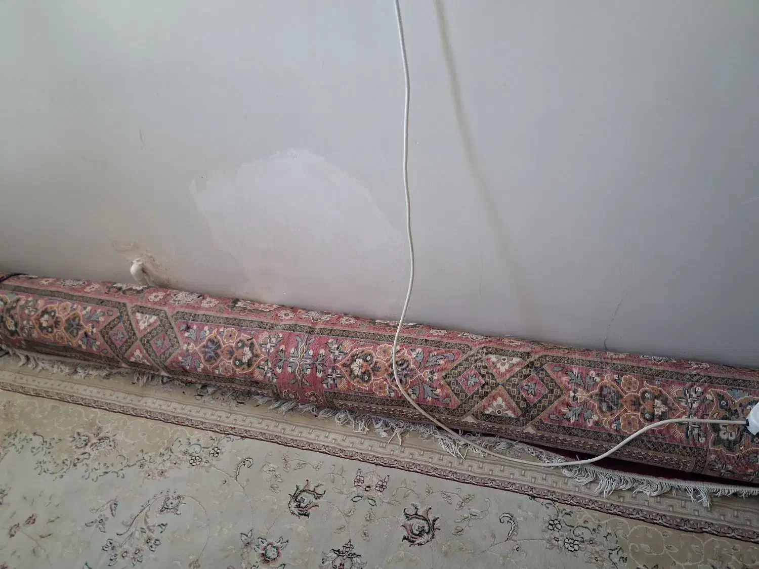 فرش ۱۲ متری|فرش|همدان, |دیوار