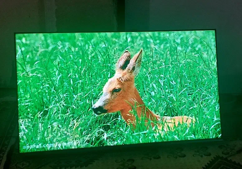 تلویزیون32اینچ هایسنس دیجیتال سرخوداکبند|تلویزیون و پروژکتور|اهواز, پردیس دو|دیوار