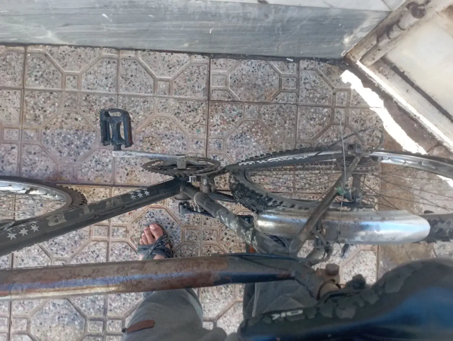 دوچرخه|دوچرخه، اسکیت، اسکوتر|شاهین‌شهر, گزبرخوار|دیوار