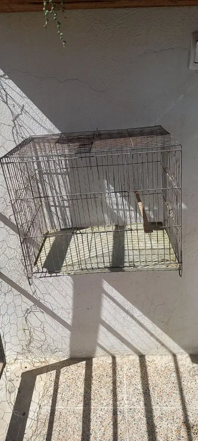 قفس پرنده|لوازم جانبی حیوانات|کرج, کوی امامیه|دیوار