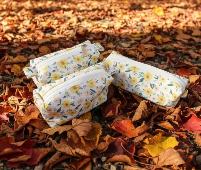 کیف لوازم آرایش|کیف، کفش، کمربند|ماکو, |دیوار