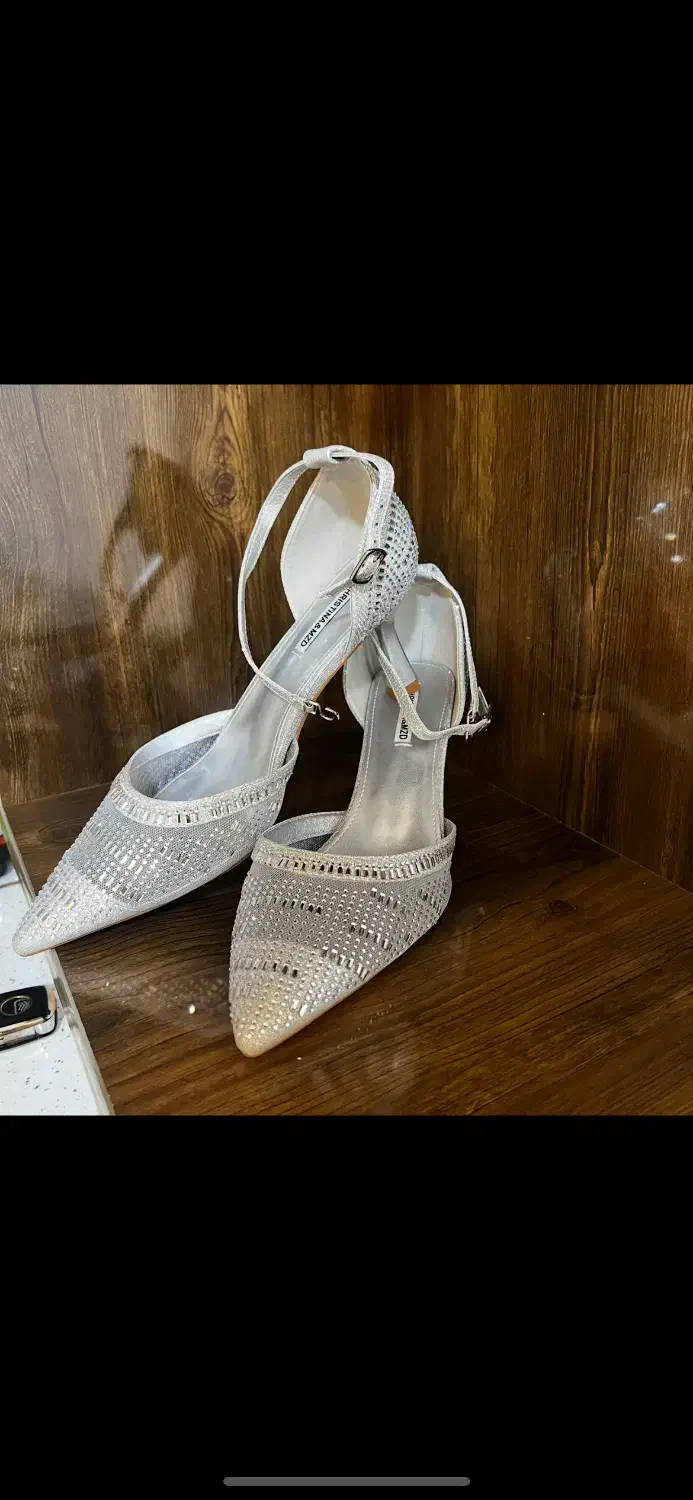 کفش مجلسی|کیف، کفش، کمربند|بوکان, |دیوار