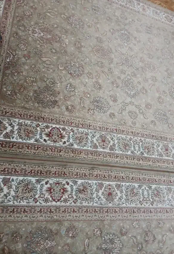 فرش|فرش|مشهد, شهرک امام هادی (شهرک غرب)|دیوار