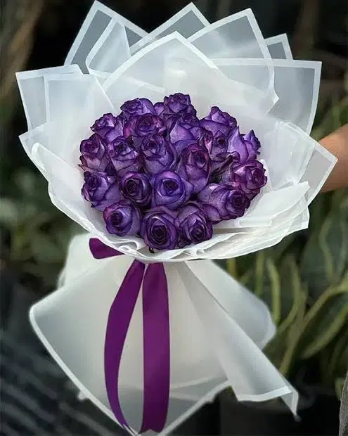 گل رز ویژه اعیاد شهریورماه|گل و گیاه طبیعی|شیراز, عفیفآباد|دیوار