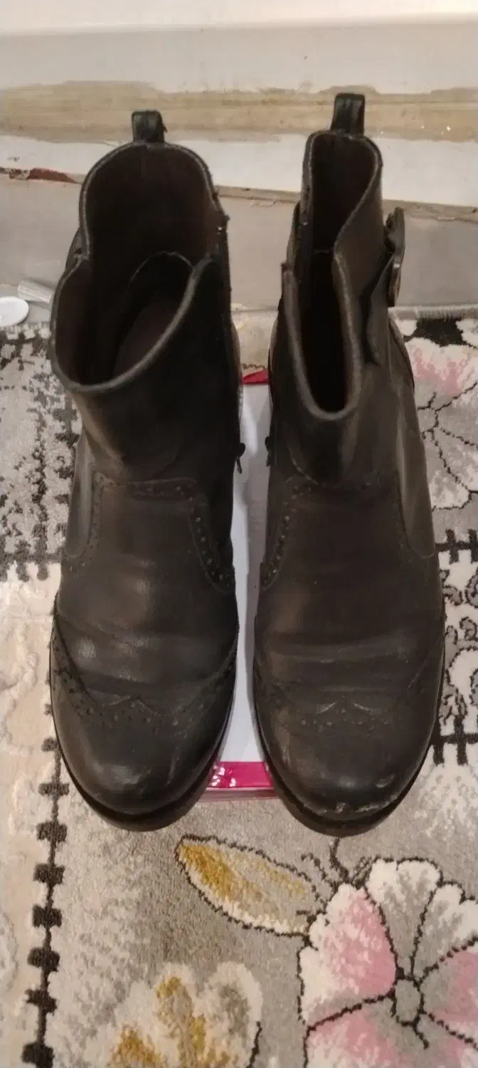 کفش|کیف، کفش، کمربند|بوشهر, |دیوار