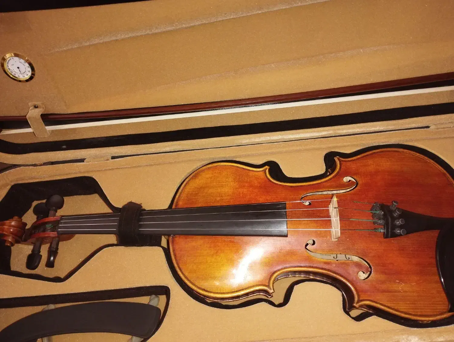 ساز ویلون|ویولن|زنجان, |دیوار