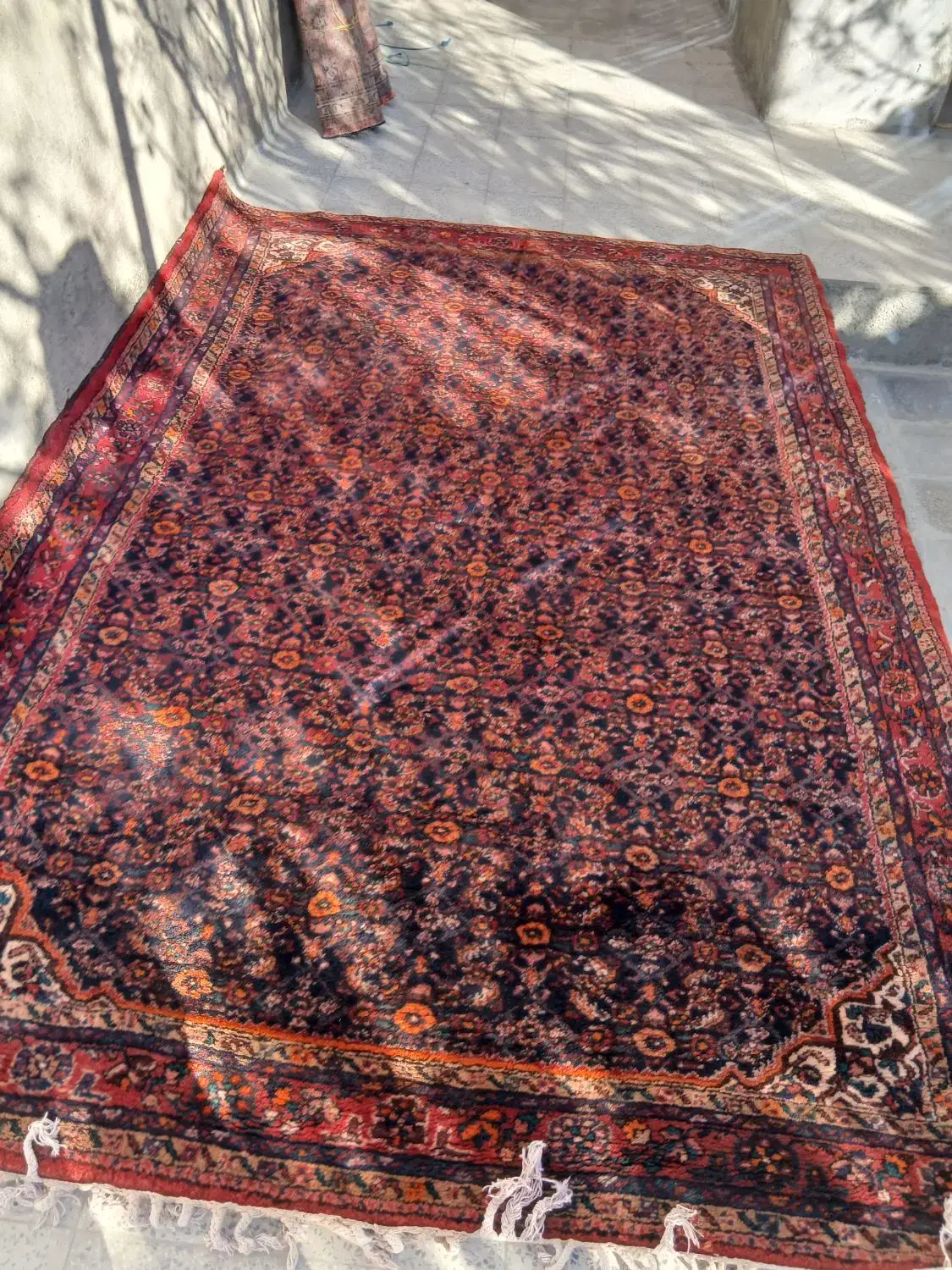 فرش دستبافت|فرش|کبودرآهنگ, |دیوار