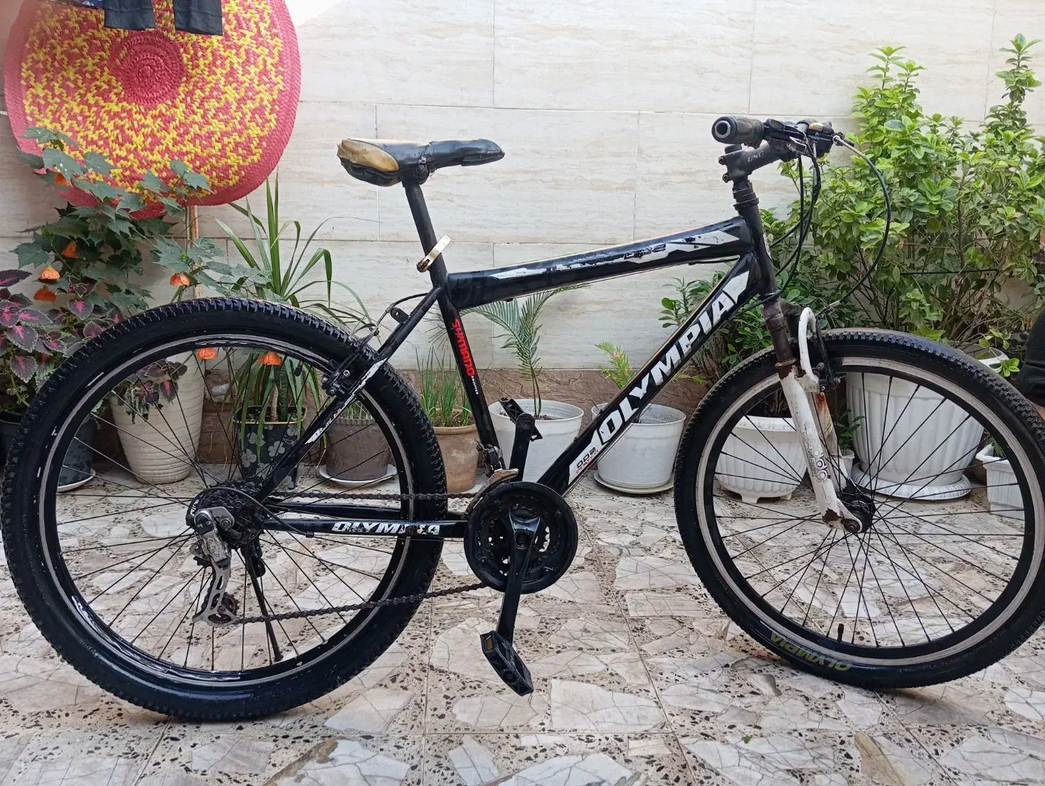 دوچرخه|دوچرخه، اسکیت، اسکوتر|رشت, قاسمیه|دیوار