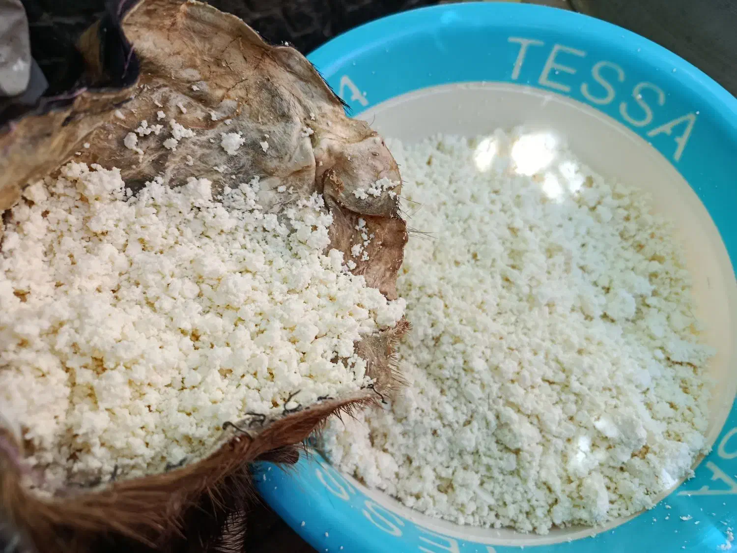 پنیر گوسفندی|خوردنی و آشامیدنی|نی‌ریز, |دیوار