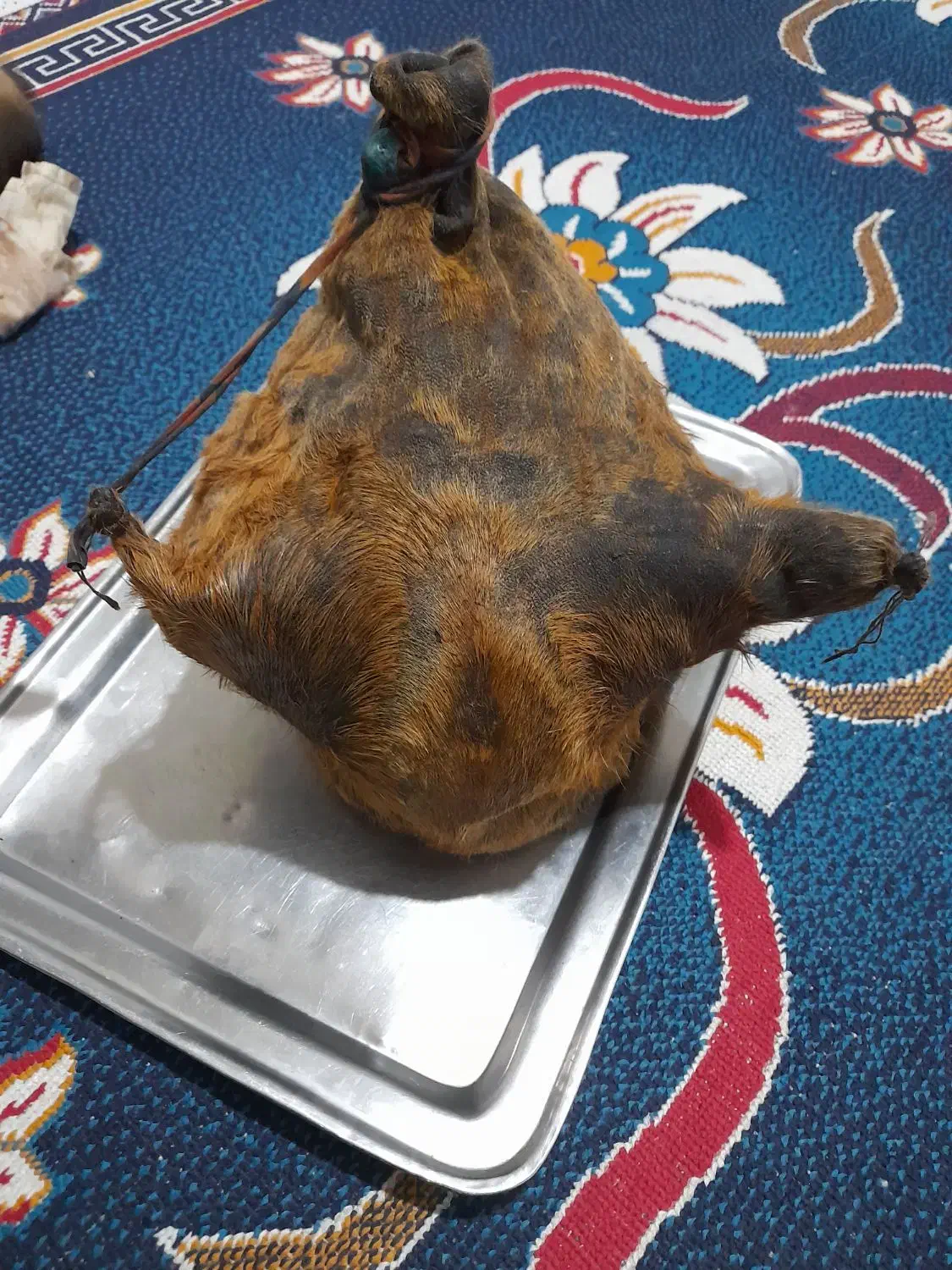 هیزه|ظروف نگهدارنده، پلاستیکی، یک‌بارمصرف|دورود, |دیوار