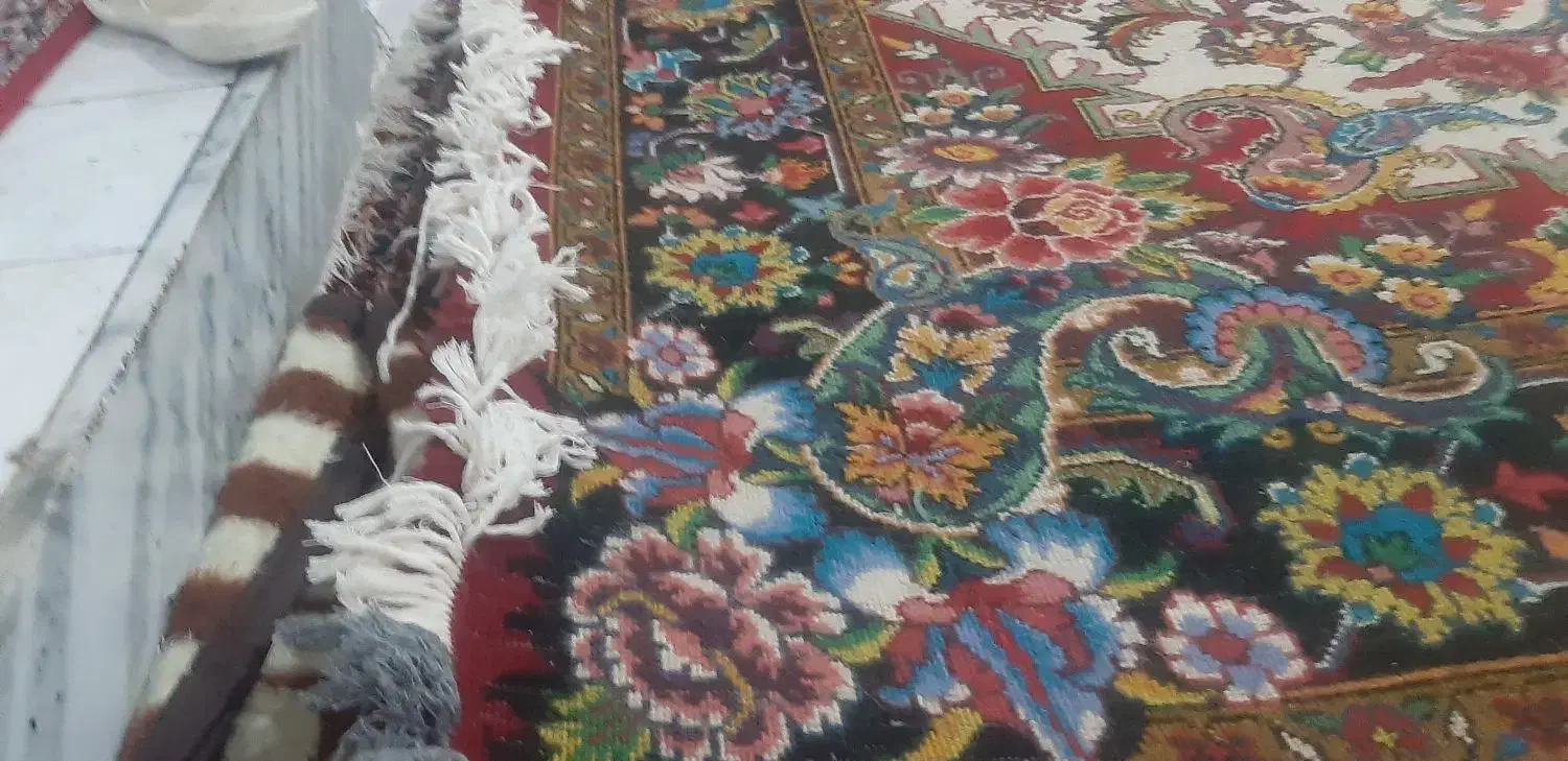 فرش دست باف|فرش|مراغه, |دیوار