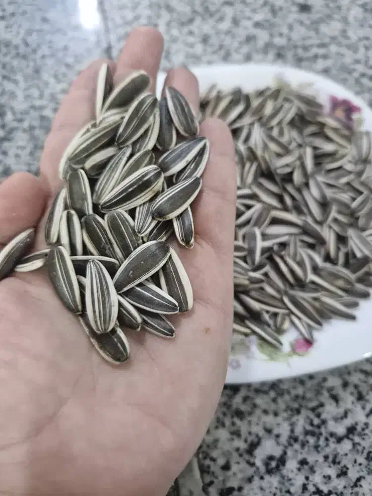 استاد کار آجیل پز|استخدام صنعتی، فنی، مهندسی|میاندوآب, |دیوار