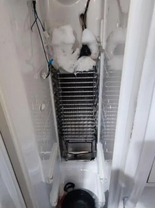 تعمیرات تخصصی یخچال لباسشویی|خدمات پیشه و مهارت|قم, هفت تیر|دیوار