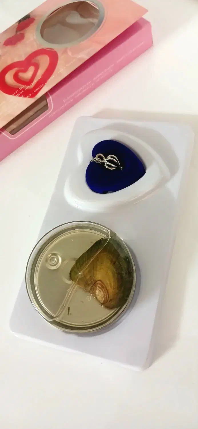 مروارید عشق|بدلیجات|کاشان, شمس آبادی|دیوار