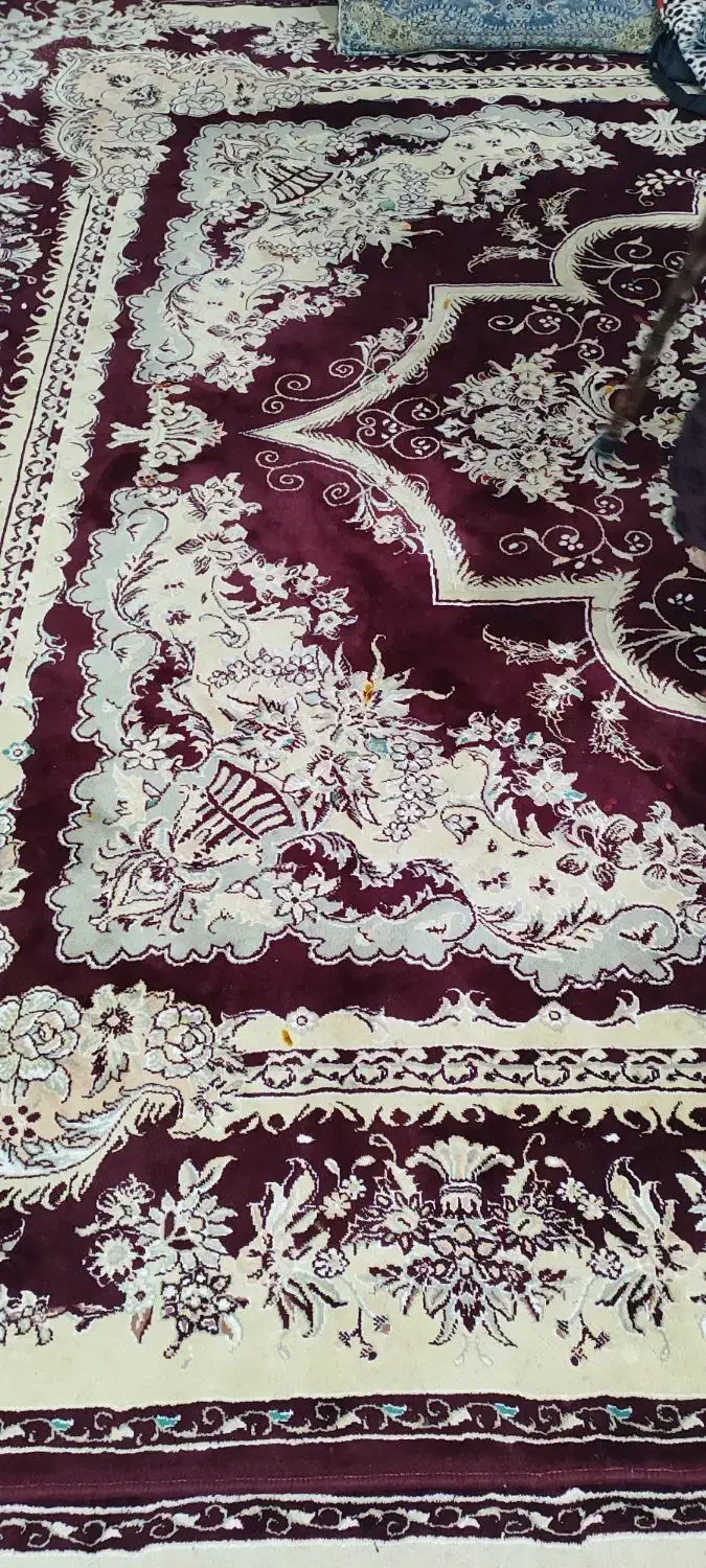 قالی ۳/۴|فرش|فردوس (کرمان), |دیوار