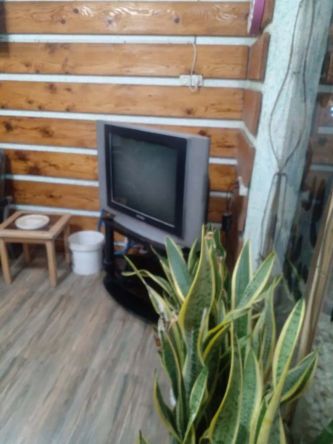 تلویزیون 29اینج سامسونگ قدیمی با زیر تلویزیون|تلویزیون و پروژکتور|چابکسر, |دیوار