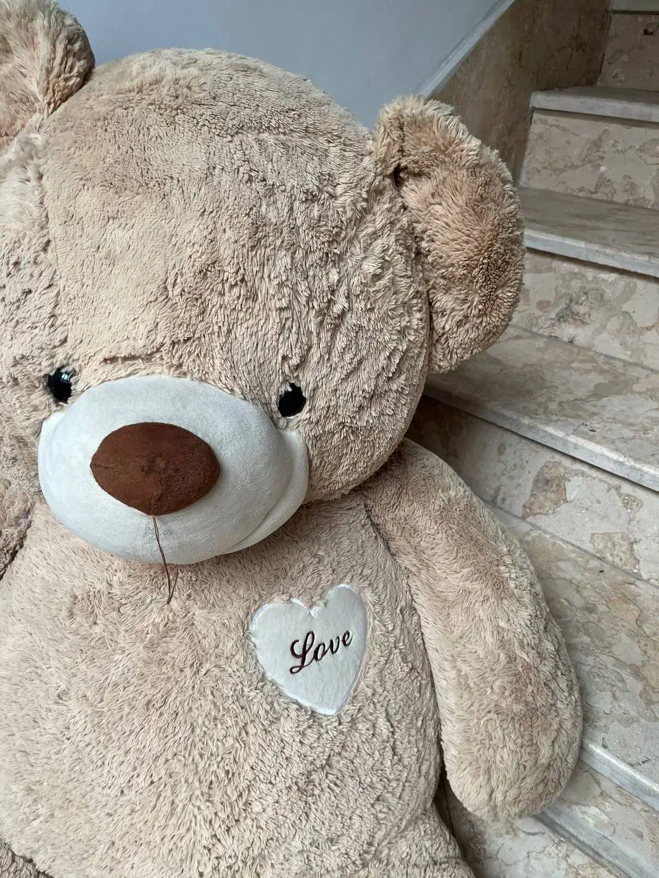 تدی|اسباب‌بازی بچه|تهران, ابوذر|دیوار