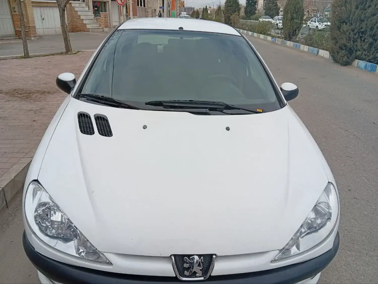 206مدل94|خودرو سواری و وانت|کاشان, زیدی|دیوار