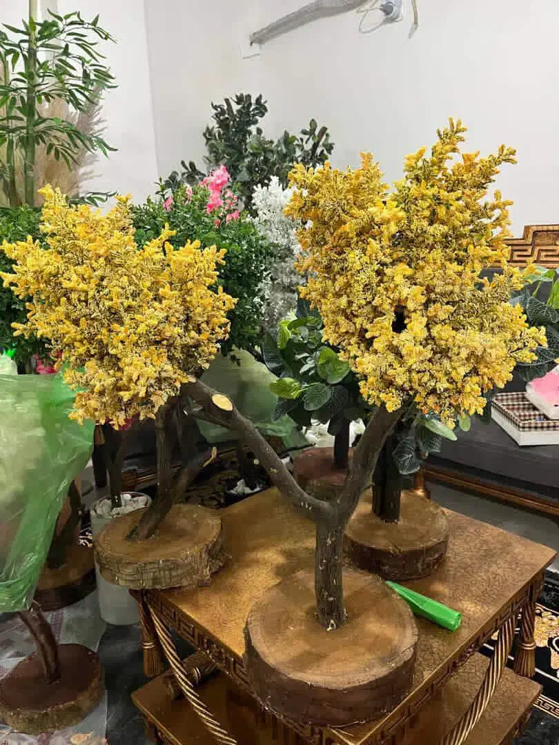 درختچه های جذاب و زیبا  با تنه طبیعی|صنایع دستی و سایر لوازم تزئینی|بهشهر, |دیوار