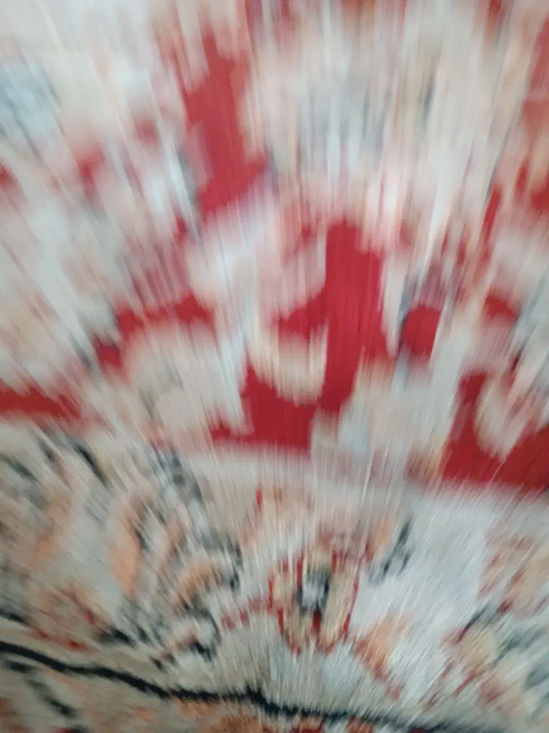 سویت روزانه|اجارهٔ کوتاه‌مدت آپارتمان و سوئیت|بم, |دیوار