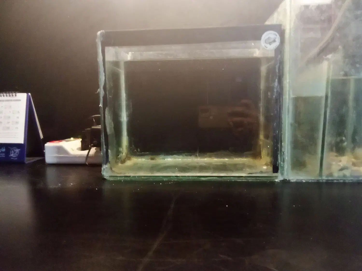 آکواریوم 150 فوری|ماهی|زنجان, |دیوار