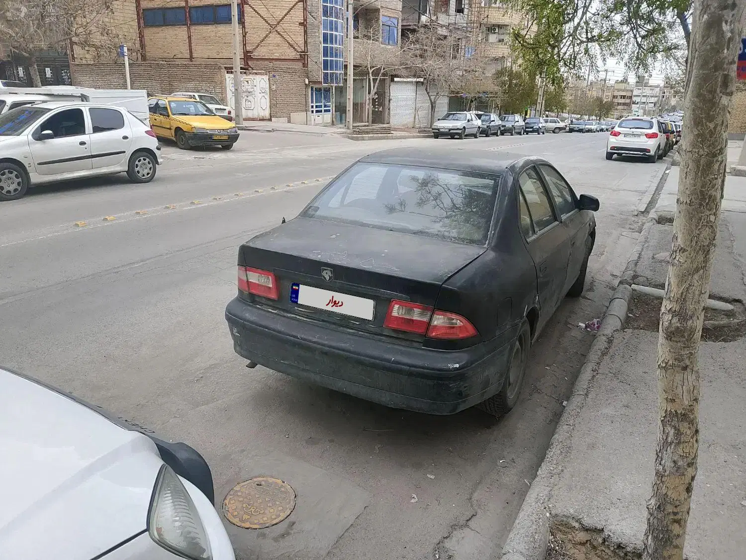 سمند مدل 82|خودرو سواری و وانت|مشهد, کوی المهدی|دیوار