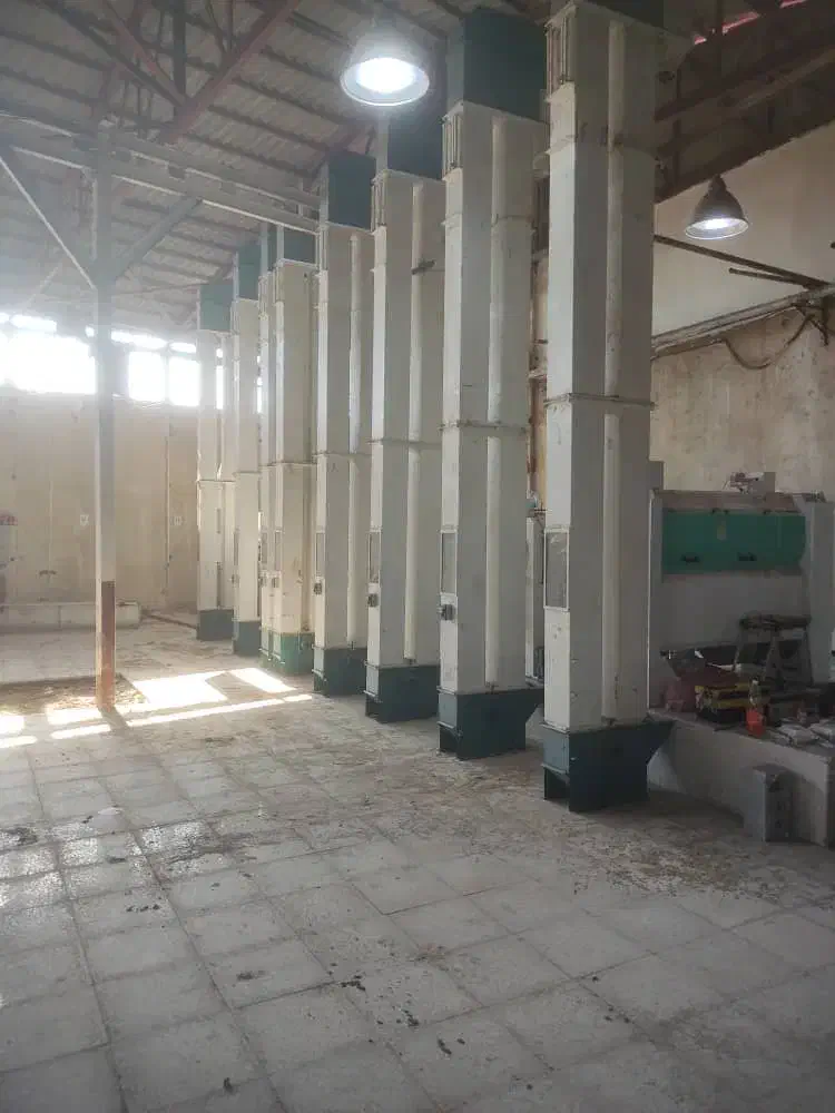 یک کارگر ساده برای نصب دستگاه شالیکوبی مدرن|استخدام صنعتی، فنی، مهندسی|هادی شهر, |دیوار