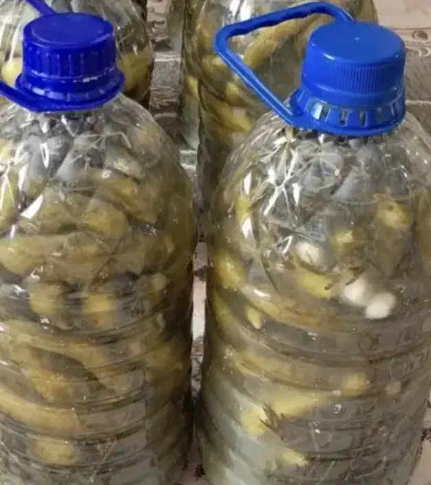 خیارشور ترشی خانگی|خوردنی و آشامیدنی|تهران, شمیراننو|دیوار