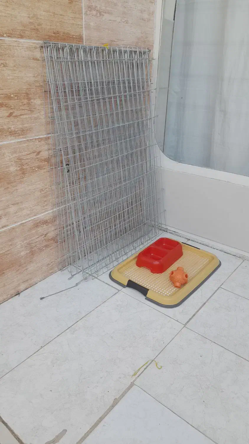 وسایل سگ خانگی به فروش میرسد|لوازم جانبی حیوانات|اصفهان, ارداجی|دیوار