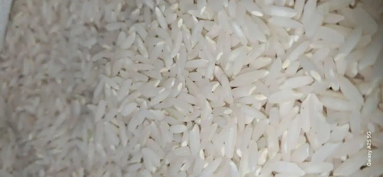برنج طارم فقط۱۹۸تومان|خوردنی و آشامیدنی|تبریز, |دیوار