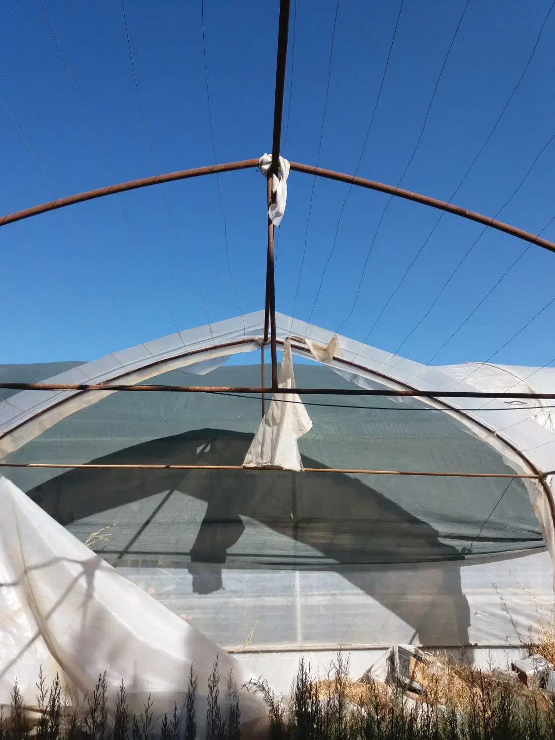 تعدادی قفسه پروفیلی ونرده سازه گلخانه و تیرچوبی|کتابخانه، شلف، قفسههای دیواری|فلاورجان, |دیوار