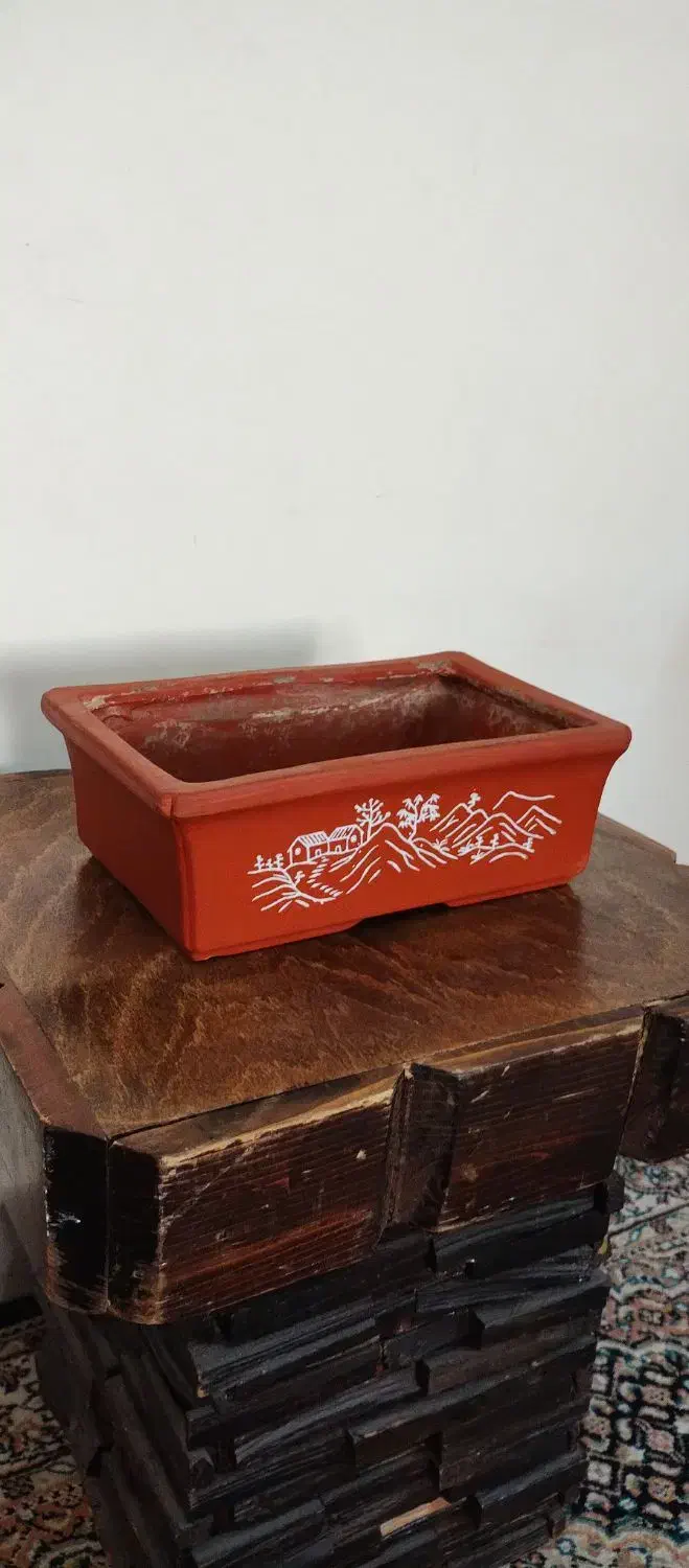 تعدادی گلدان اصلی بونسای،بن سای،بن سای|گل و گیاه طبیعی|کرج, شهرک امام رضا (ع)|دیوار