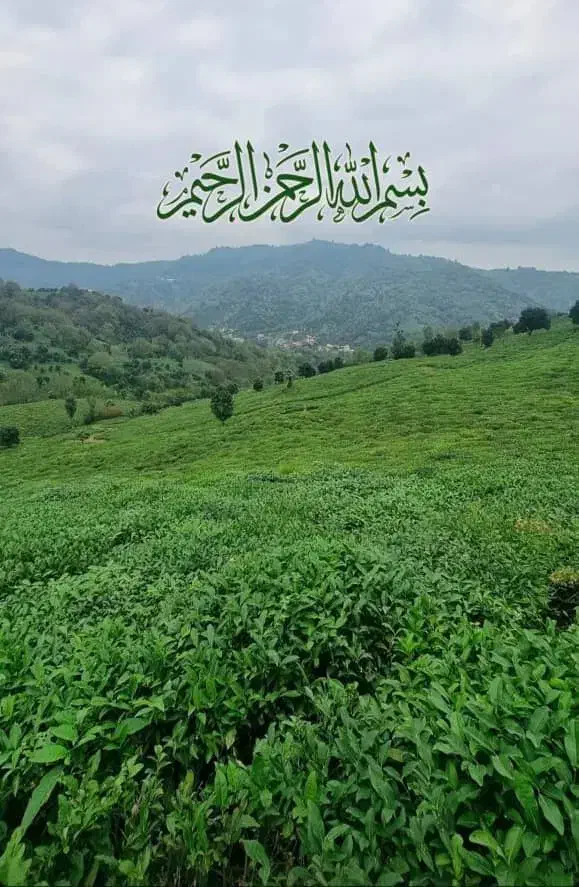 حمل بار از طبس به بیرجند|خدمات حمل و نقل|بیرجند, |دیوار