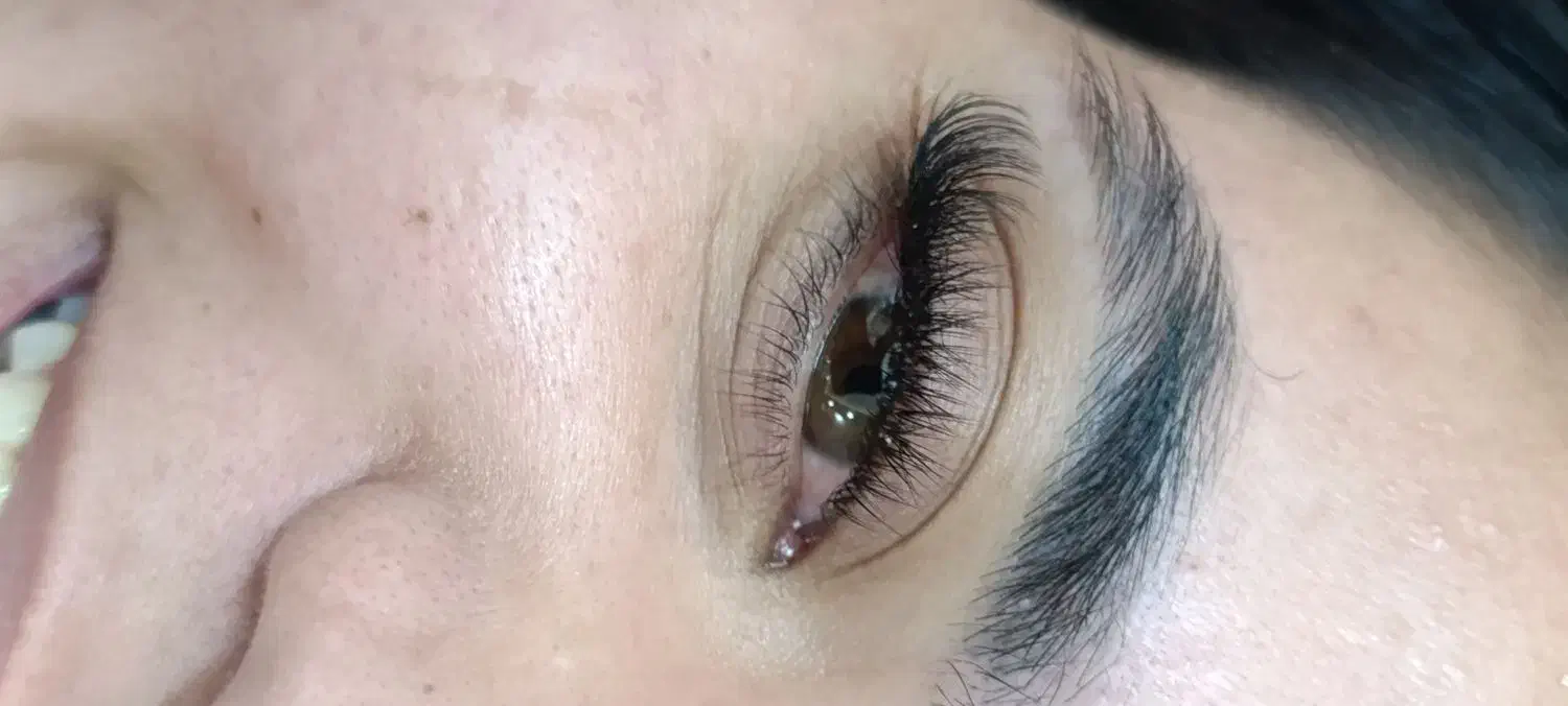 مژه|خدمات آرایشگری و زیبایی|بیرجند, |دیوار