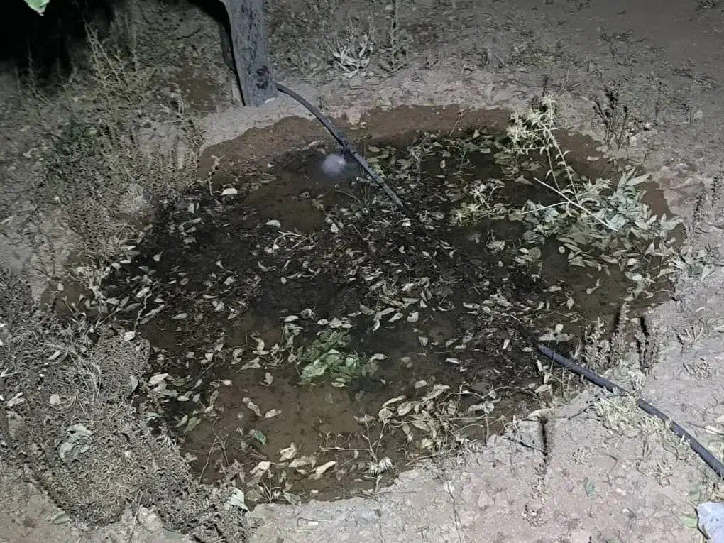 1000متر زمین کشاورزی|فروش زمین و ملک کلنگی|شاهینشهر, بوستان حافظ|دیوار