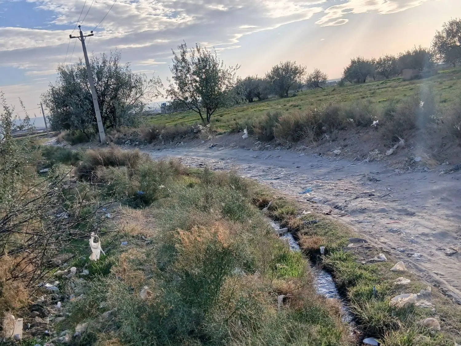 تصویر 10
