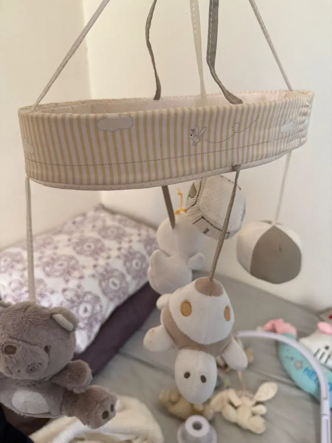 لوازمنوزاد تا ۱۸ ماه|کفش و لباس بچه|تهران, فرمانیه|دیوار