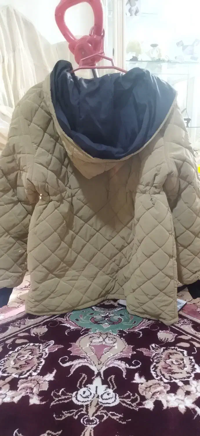 کاپشن زنانه نو|لباس|تهران, خاک سفید|دیوار