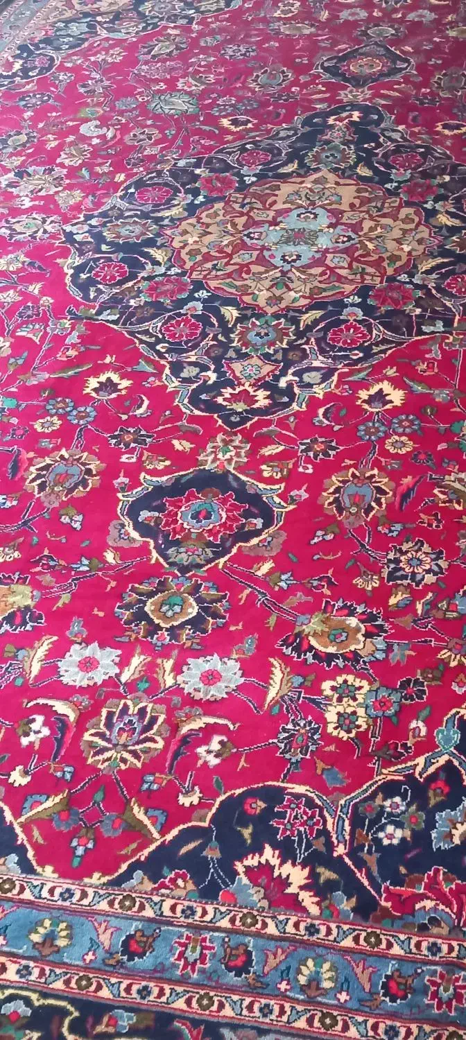 فروش فرش کاشمر دستباف فروش فوری|فرش|اردبیل, |دیوار