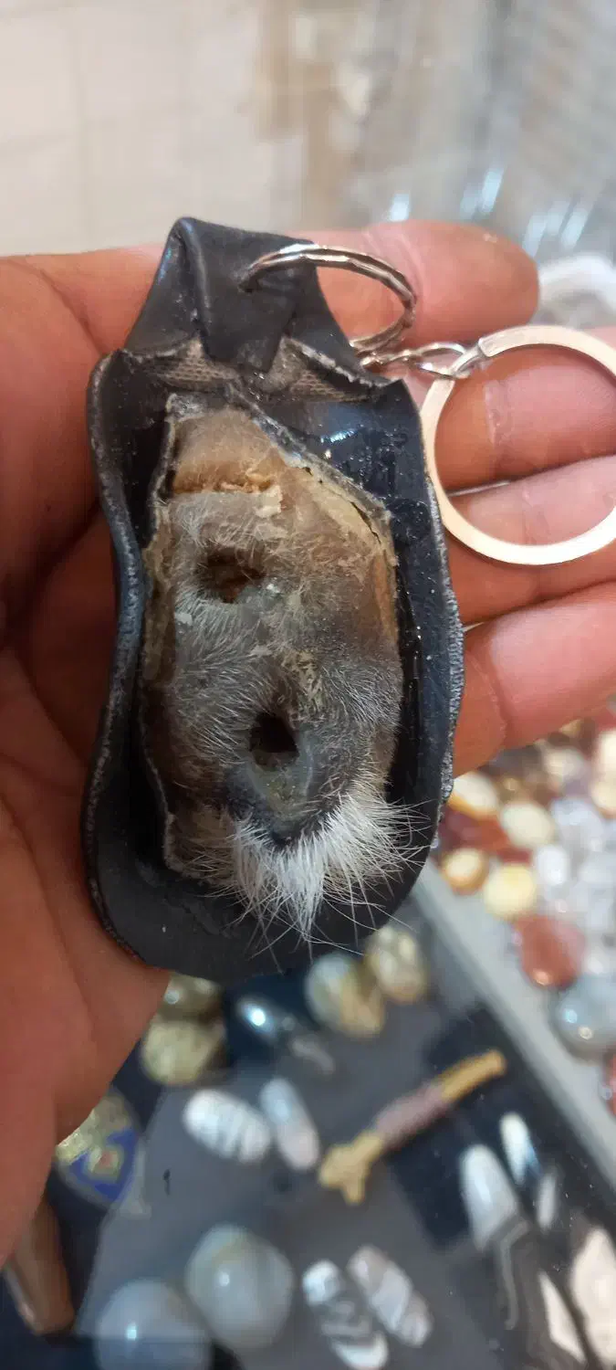 سلطانی|جواهرات|آبادان, |دیوار