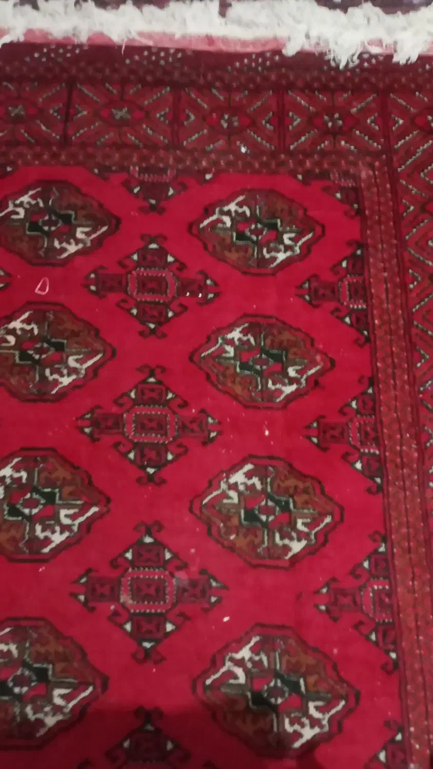 دو عدد فرش ۶ متره و یک ۹ متره دستباف دو جفت پشتی|فرش|زاهدان, |دیوار